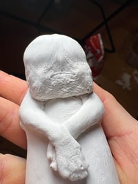 Image 3 of Plaster diprosopus kitten 