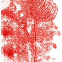 Image 2 of Original Flower Trace Monoprint 