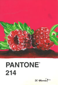 Raspberry Pantone