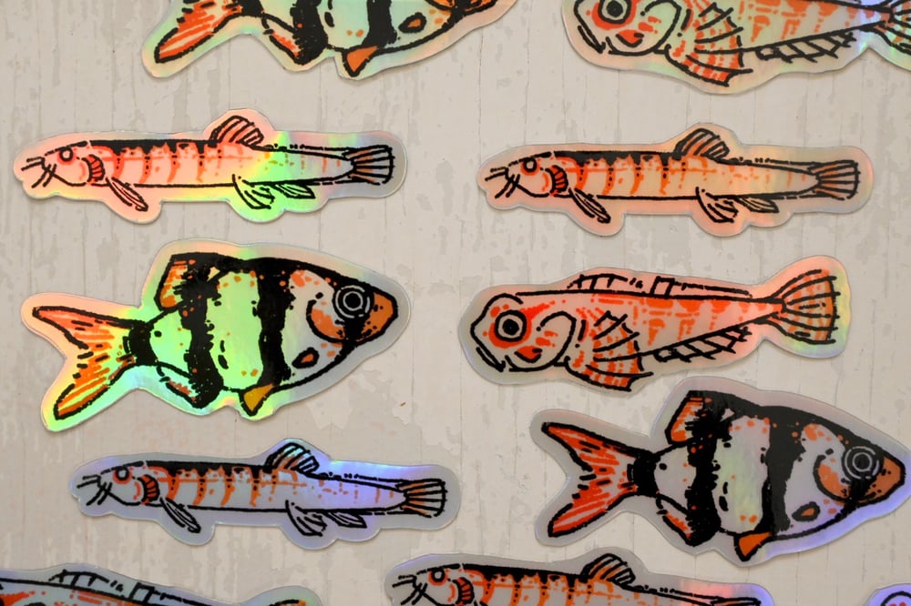 Tiger Barb, Loach, Sculpin - 3 inch Stickers