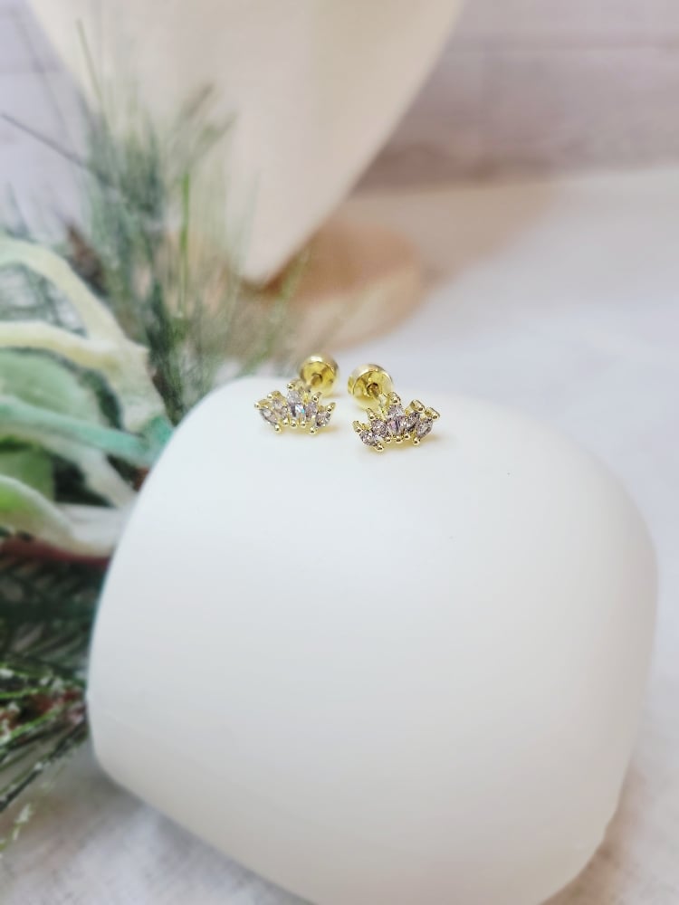 Image of Summer Earrings 