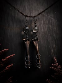 Image 4 of glass and bone