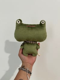 Wide Eye Froggie (Gingham scarf) 