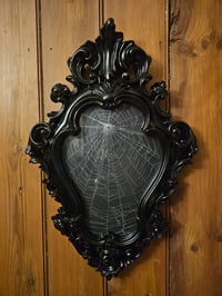 Image 1 of Antique ornate frame with a real preserved walnut orbwiever spider web 