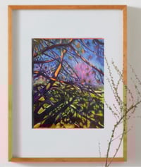 Image 2 of 03-01-25 - SOLD