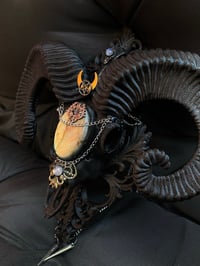 Image 4 of Ram skull with labradorite 