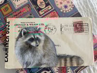 Image 1 of Raccoon on vintage envelope 