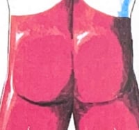 Image 2 of ADELAIDE ULTRA 