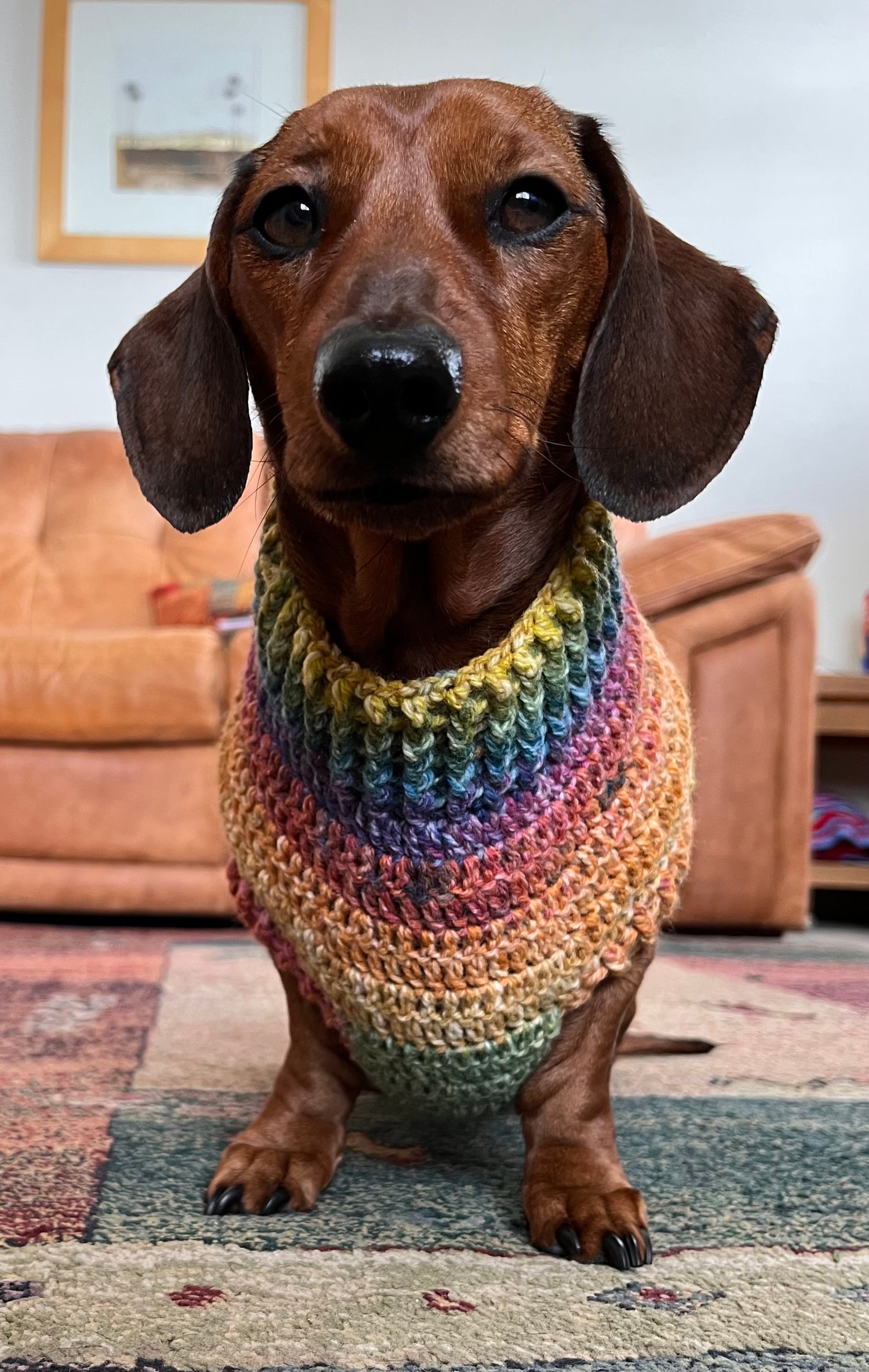 Image of Snazzy Bramble