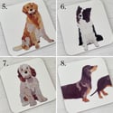 Rocket & Co. Dog coasters 