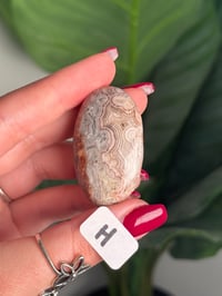 Image 16 of CHOOSE YOUR OWN MEXICAN LACE AGATE PALMSTONES 