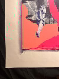 Image 5 of Joyce’s Choice 1,2 & 3