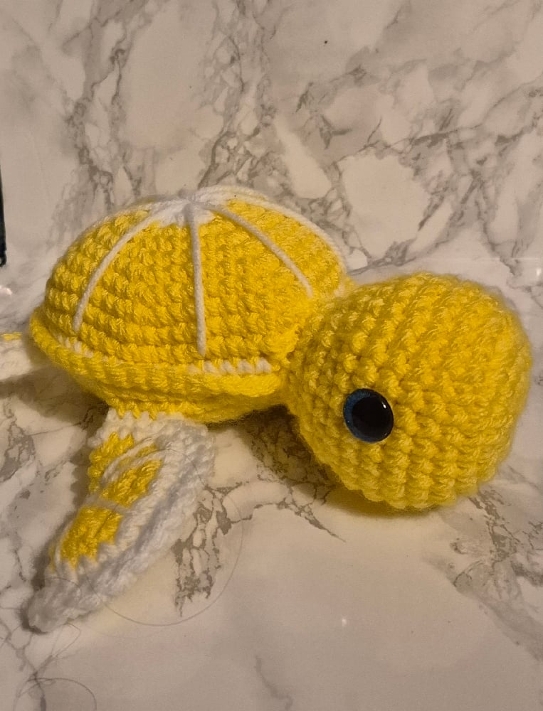 Image of lemon turtle 