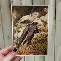Image 4 of common swift print