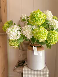 Image 1 of The Snowball Bouquet  ( 3 options )