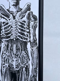 Image 3 of BØLAJI BADEJØ