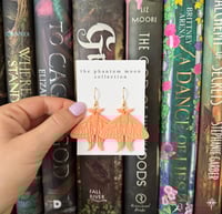 Image 1 of Spring Moth