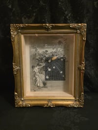 Image 2 of ‘Victorian 1800s -  faces’ taxidermy spider" 1800s Page With Preserved Web