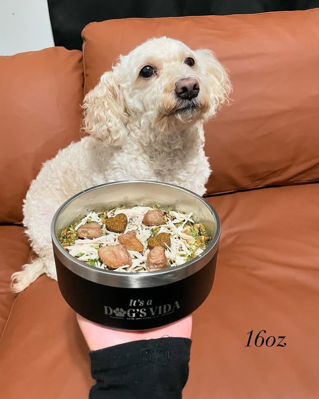 It’s a Dog’s Vida Stainless Steel Non-Slip Dog Bowl