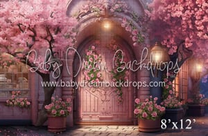 Image of Spring Mini-Session (Valentine's inspired sets)