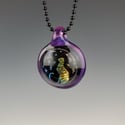 Rainbow Dichro: Royal Jelly