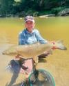 Guided Grass Carp Trip