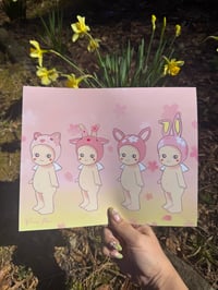 hanami print 
