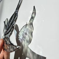 Image 4 of Clear Iridescent Hummingbird 