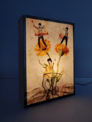 Image of Fiesta del polen.