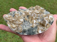 Image 14 of UV Cookie Calcite Specimen #1839
