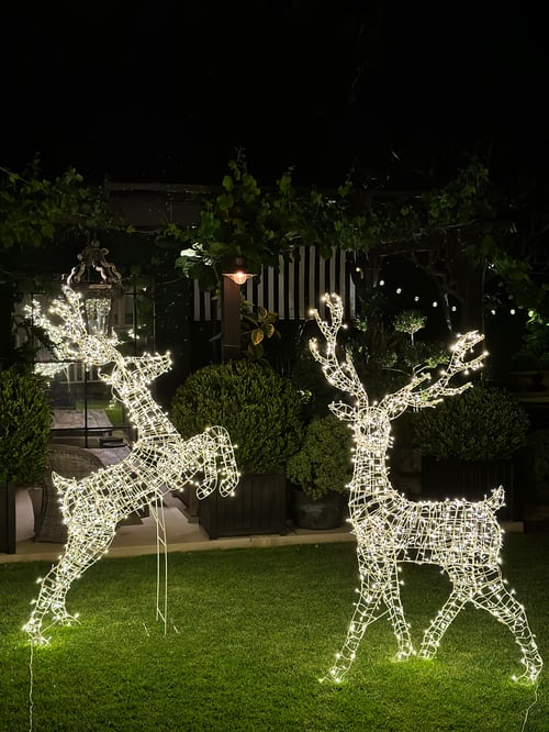 Image of Standing Light Up Reindeer