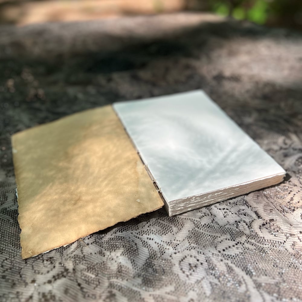 Stonehenge mushroom sketchbook with studs