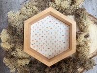 Image 4 of Cottagecore Mushroom Dice Tray