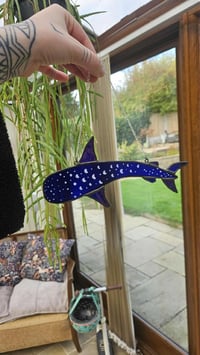 Image 1 of Blue shark whale