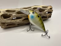 Image 1 of Perch Crank Bait