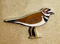 Image 2 of Killdeer No.76 - January 2022 - UK Birding Pins - Enamel Pin Badge