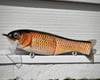 Finesse Floater - Reelest Carp/Shiner