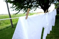 Image 1 of Country Clothesline