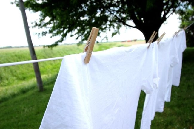 Country Clothesline