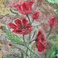 Image 2 of Poppies