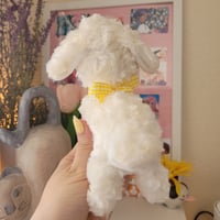 Image 4 of Butter Lamb Plush