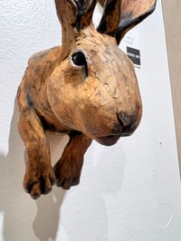 Image 6 of To cook your Hare, you must first catch it- Julie Kradel