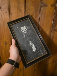 Image 5 of 1800s Gustave Dore Spiders - with real preserved webs -F