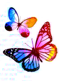 Image 11 of Collage Kits