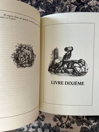 Image 18 of Notre-Dame de Paris, Victor Hugo, éditions de luxe Famot, 2002, en 2 tomes