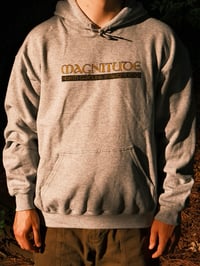 Image 1 of Gray Hoodie