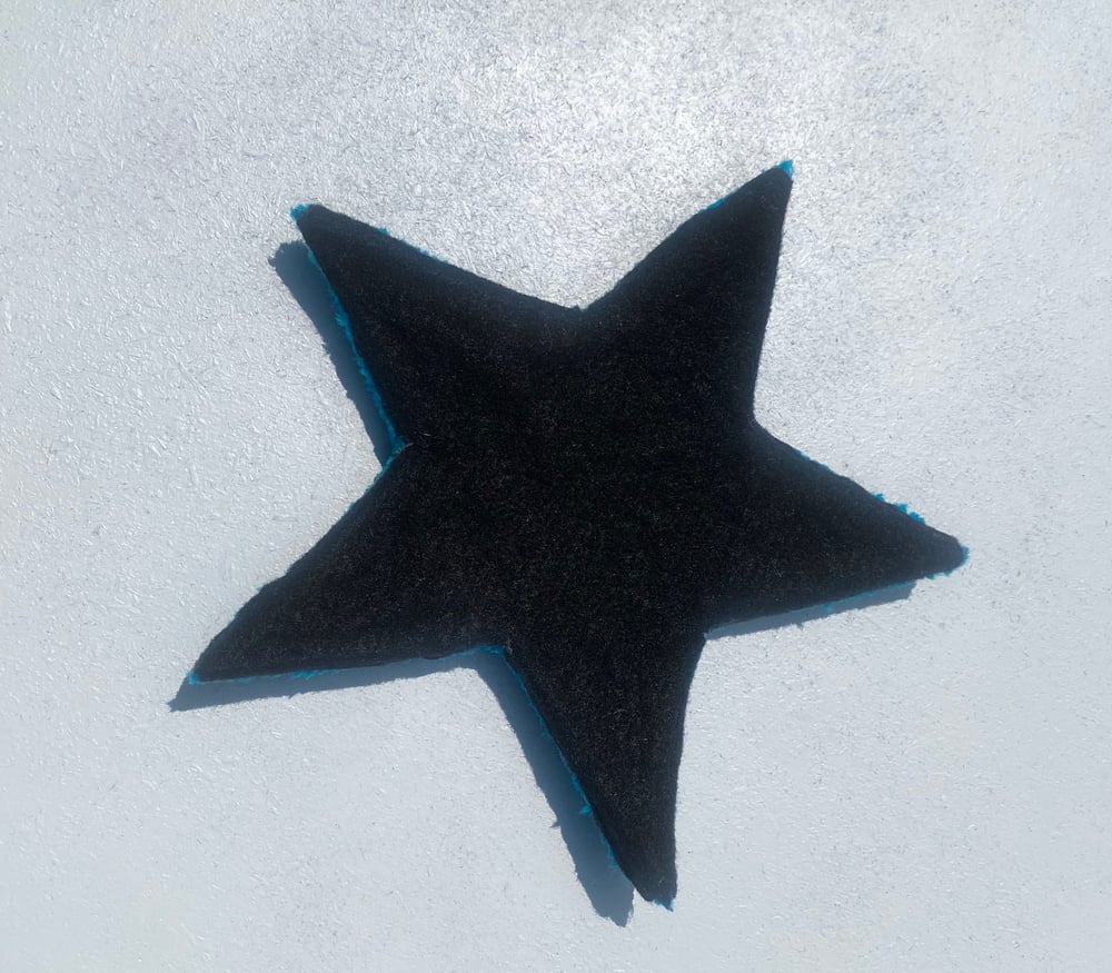 Image of Blue Star Coaster 