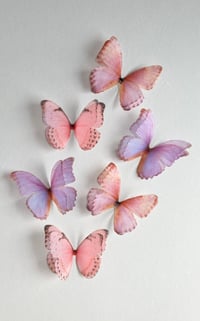 Image 2 of  Luna Moon (set of 6)