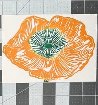 Poppy (orange)