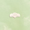 Delicious Pins